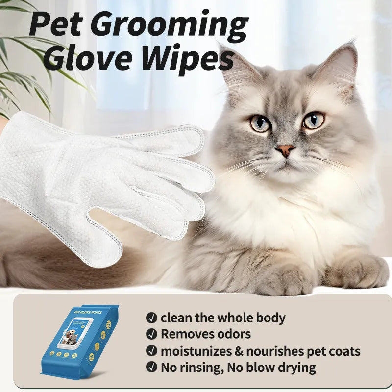 Pack of disposable wash-free gloves for pet cats and dogs during bath cleaning and grooming sessions
