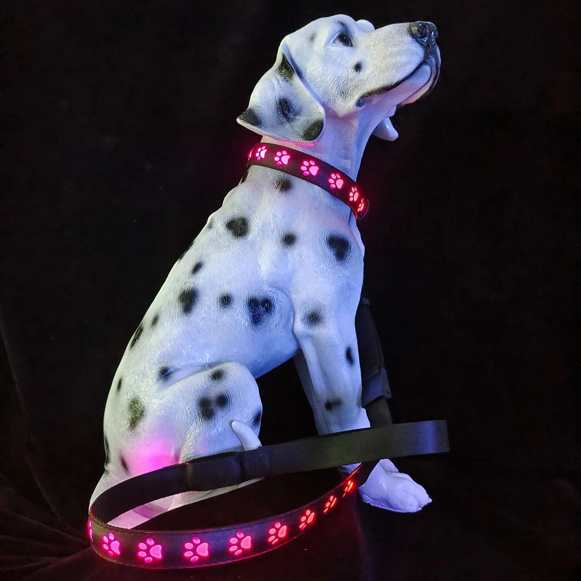 USB-rechargeable LED luminous dog collar with paw prints in seven different colour light modes