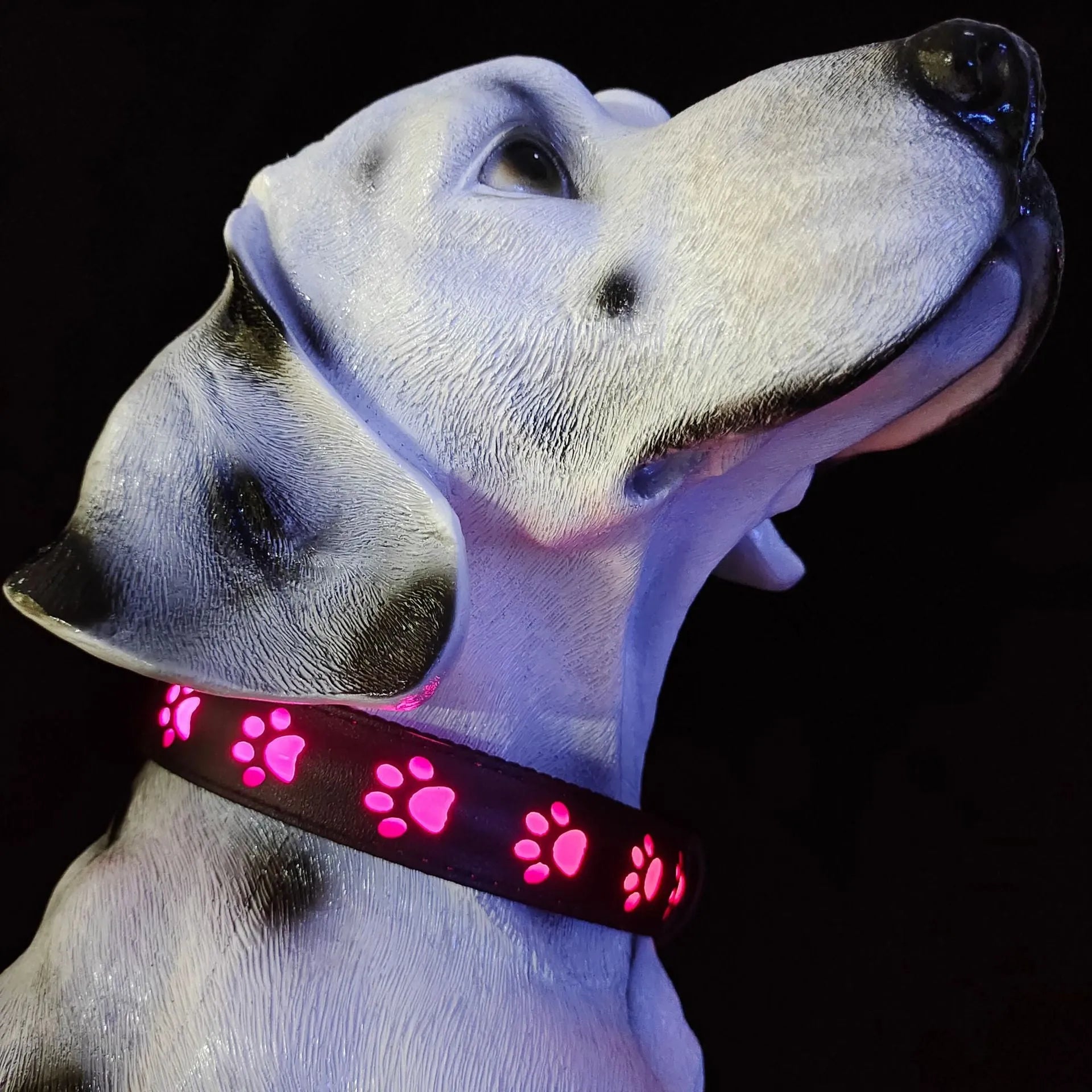 USB-rechargeable LED luminous dog collar with paw prints in seven different colour light modes