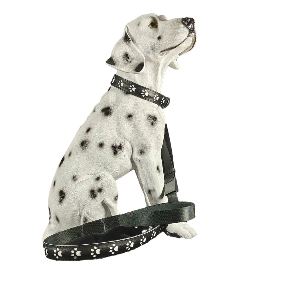 USB-rechargeable LED luminous dog collar with paw prints in seven different colour light modes