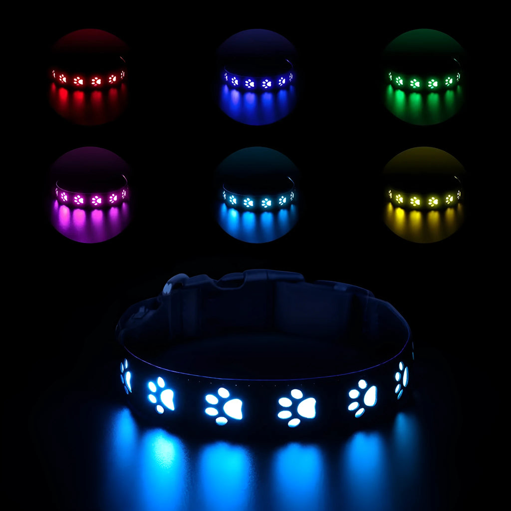 USB-rechargeable LED luminous dog collar with paw prints in seven different colour light modes