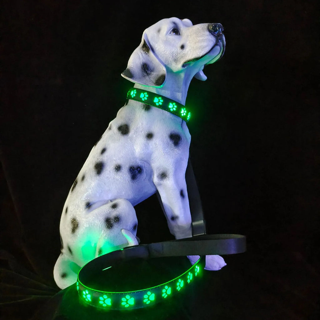 USB-rechargeable LED luminous dog collar with paw prints in seven different colour light modes