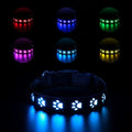 USB-rechargeable LED luminous dog collar with paw prints in seven different colour light modes