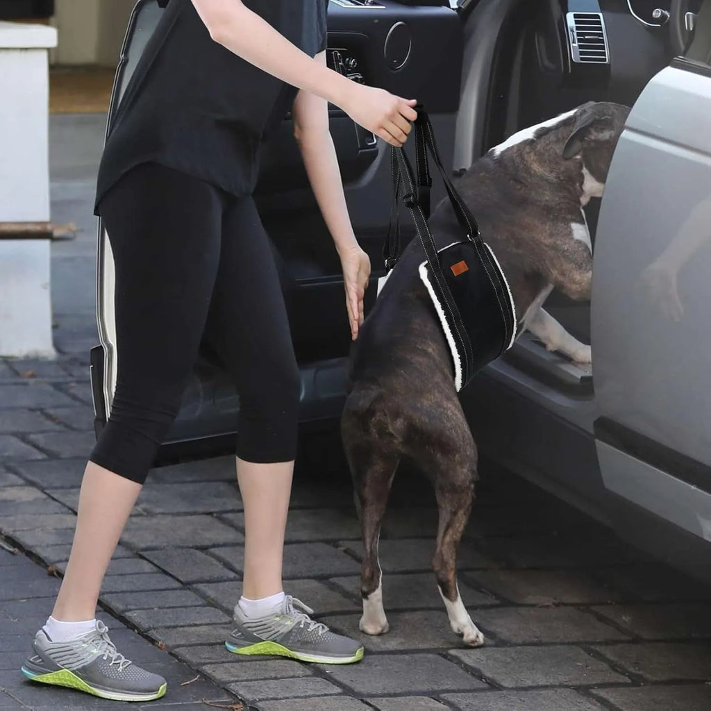Adjustable dog sling supporting hind legs and buttocks with reflective straps and soft liner.