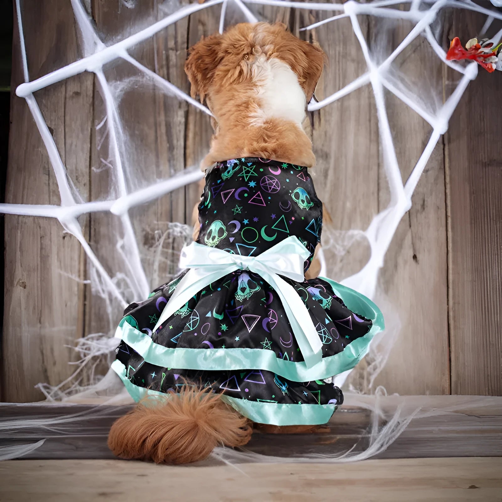 Colourful Halloween dog skirt with pumpkin or skull design, double-layer polyester construction