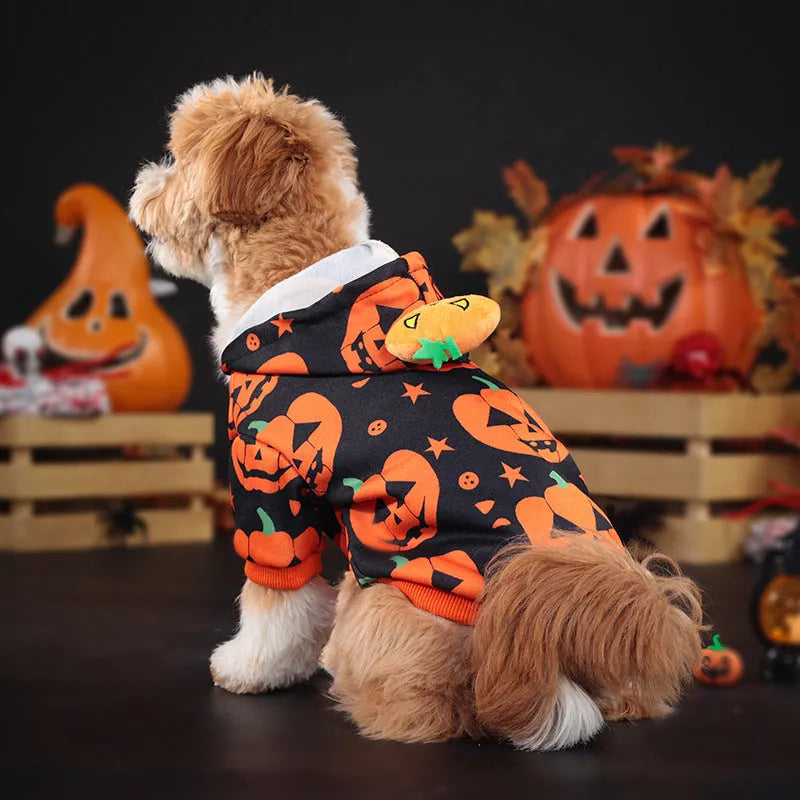Wansheng orange pumpkin pet sweater for dogs and cats in polyester fabric