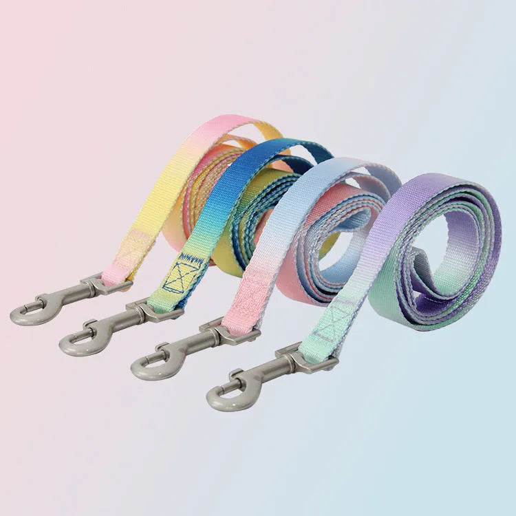 Gradient colour nylon dog leash set with matching collar in pink-blue combination