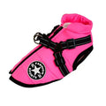 Red waterproof dog coat with an integrated harness on a dog, for winter weather.