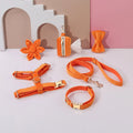 Classic velvet pet collar and traction rope harness set with decorative bow tie and flower for dogs and cats