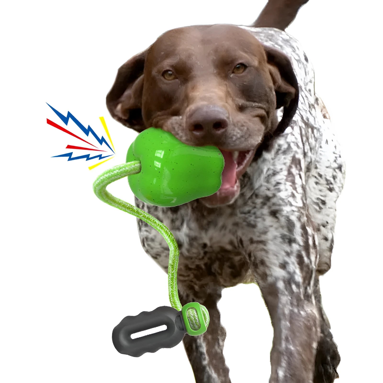 Green plastic dog food dropping ball with textured molar cleaning surfaces