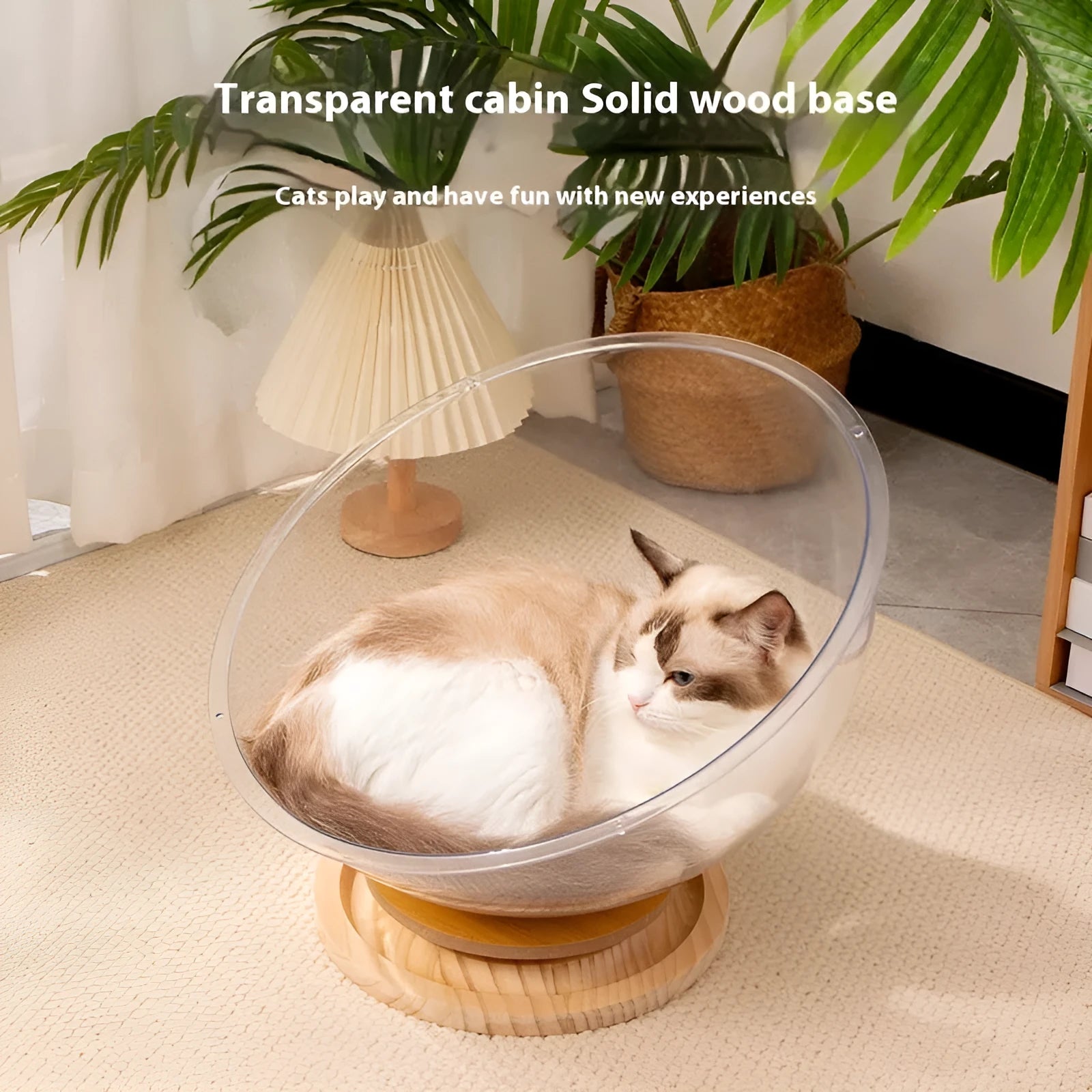 Transparent acrylic cat space capsule bathtub showing capsule design
