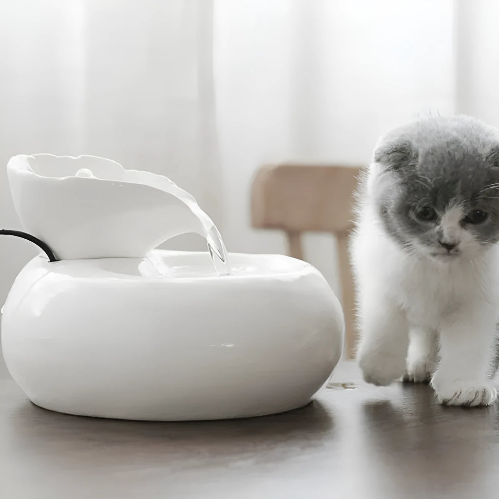 White ceramic automatic cat water dispenser with leaf-shaped bowl and pump