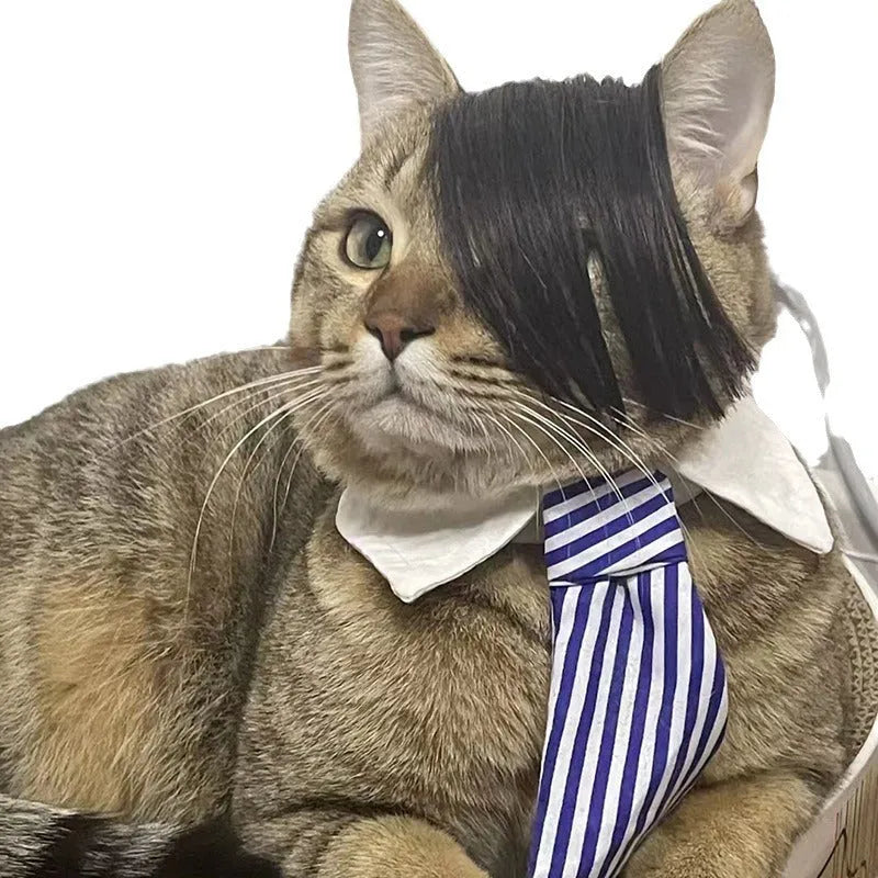 Black polyester cat wig with imitation braid design for pet dress-up
