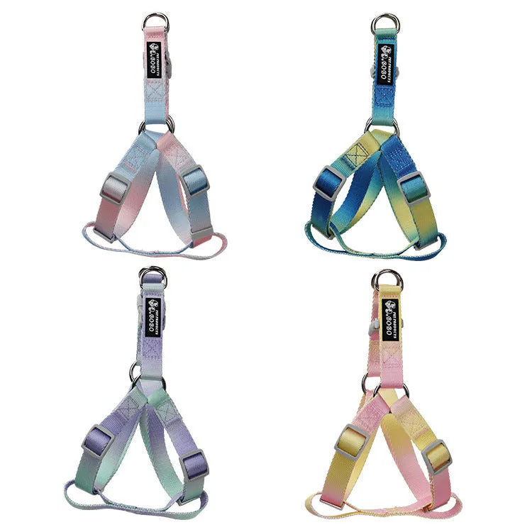 Gradient colour nylon dog leash set with matching collar in pink-blue combination