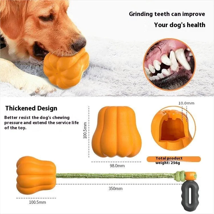 Bite Molar plastic dog toy in single pumpkin colour with rope attachment for outdoor fetch games