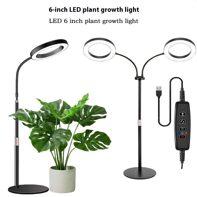 White 6-inch angel ring LED plant grow light on a tall, slender adjustable floor stand.