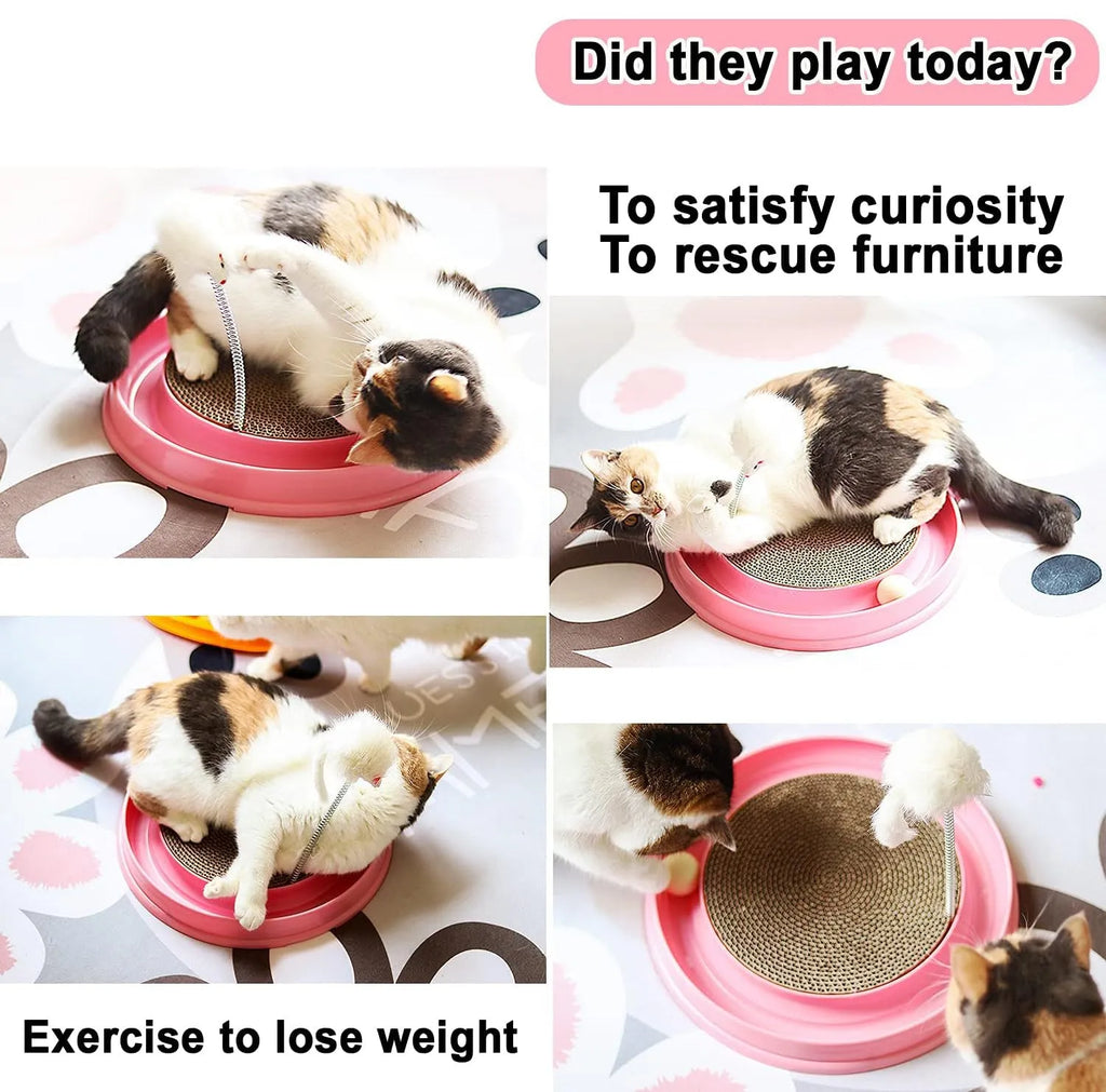 Circular blue cat scratcher with ball track and replaceable cardboard centre