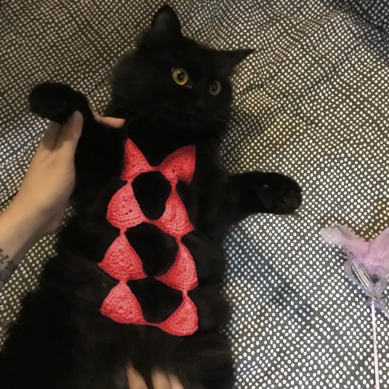 Cat wearing bikini costume in various colours for Halloween or party events