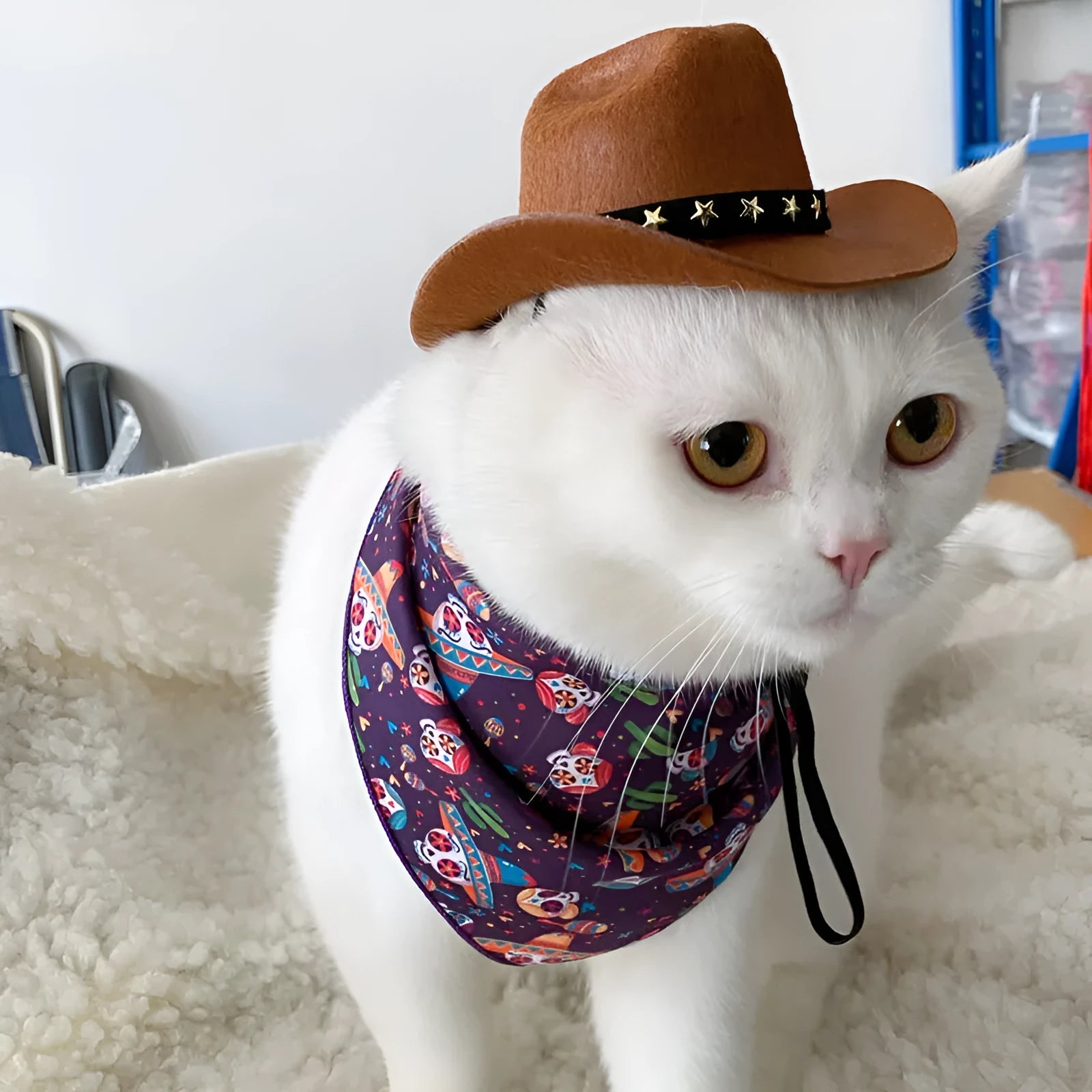 British style cowboy hat for cats in brown with decorative trim