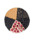 Box of 120 pack mulberry flaxseed fig herbal tea blend with a white cup