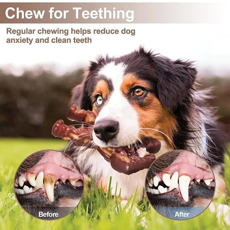 Scarlet red nylon dog chew toy with beef flavour for molar nibbling, measuring 10.7 x 17.2 x 5 cm