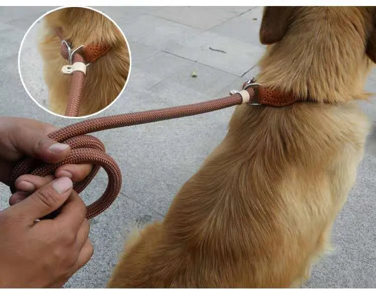 Brown nylon dog leash with hand holding rope design measuring 2.1 metres in length