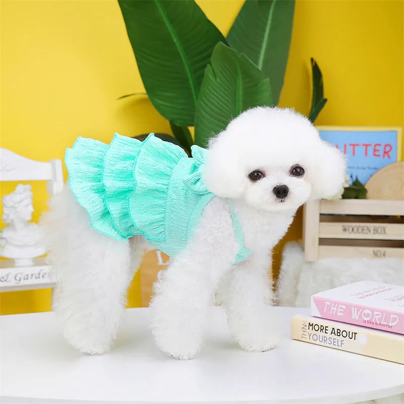 Small dog wearing princess dress with layered skirt in candy colour, suitable for thin teddy bichon breeds