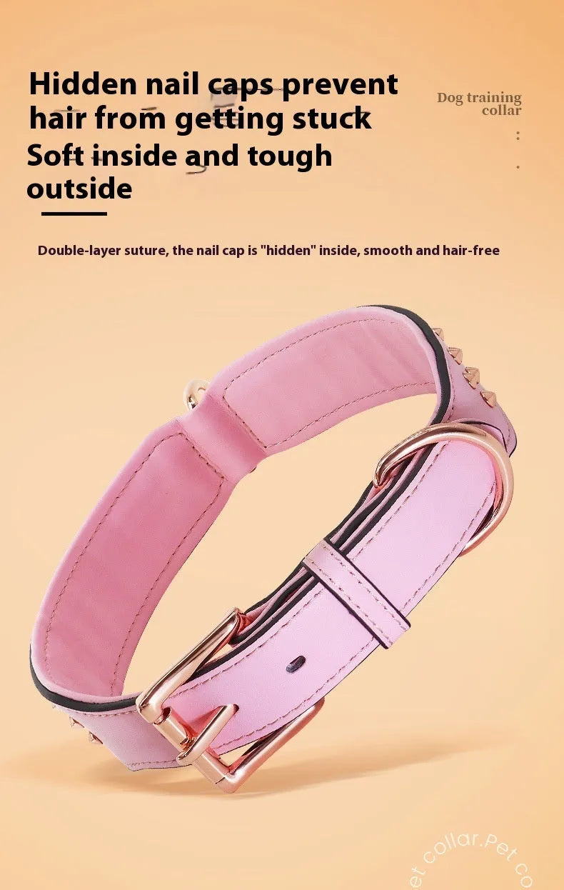 Brown leather dog collar with metal rivet studs, shown on a black background.
