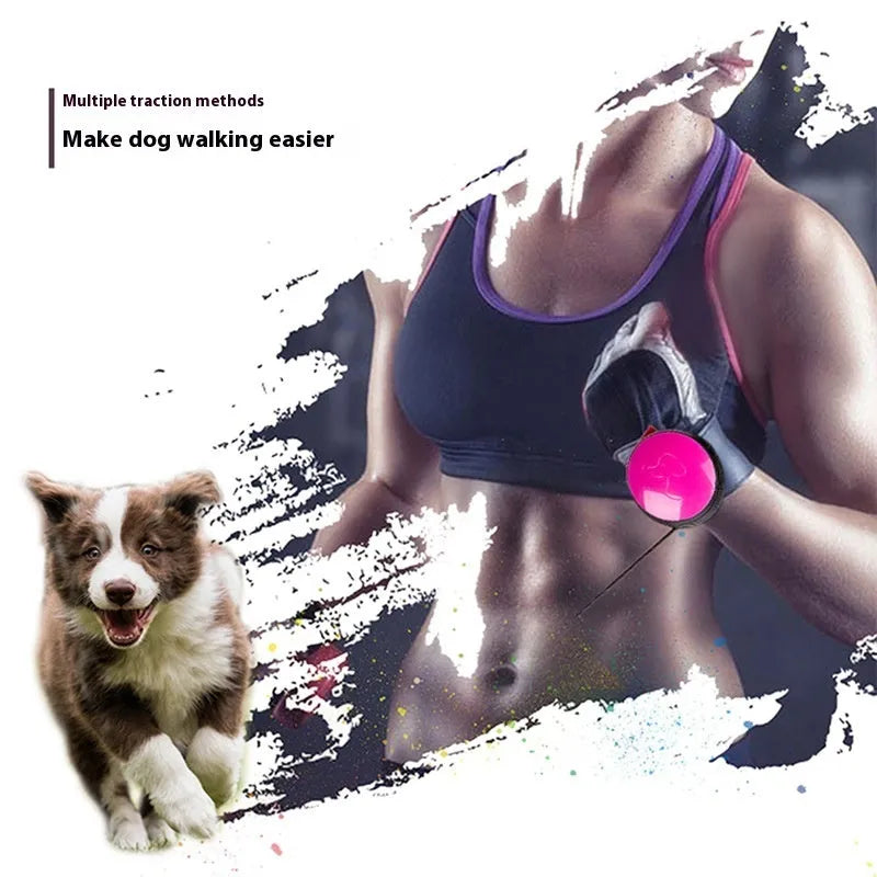 3-metre explosion-proof automatic retractable dog leash in six colour options