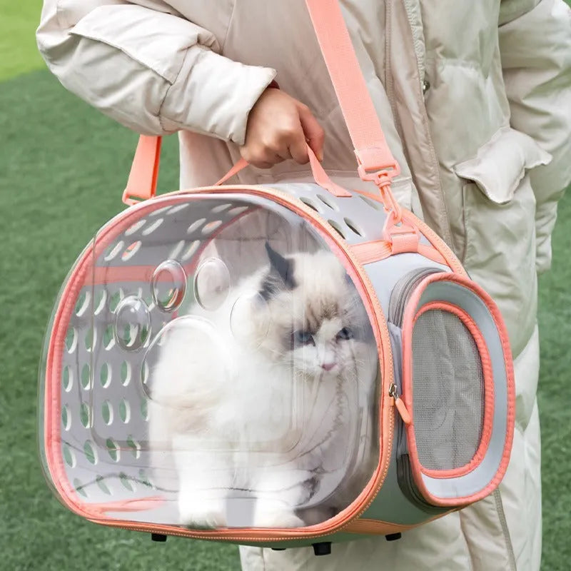 Large transparent EVA cat backpack space capsule design in grass green colour with hard shell construction