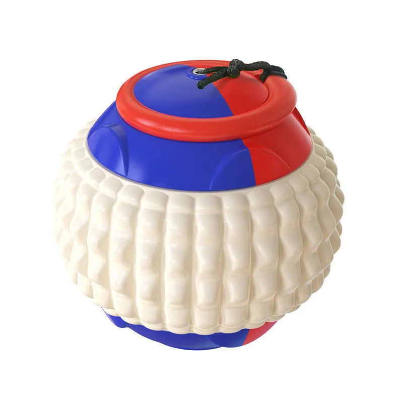 Blue ABS plastic dog training ball with retractable drawstring and molar cleaning bumps