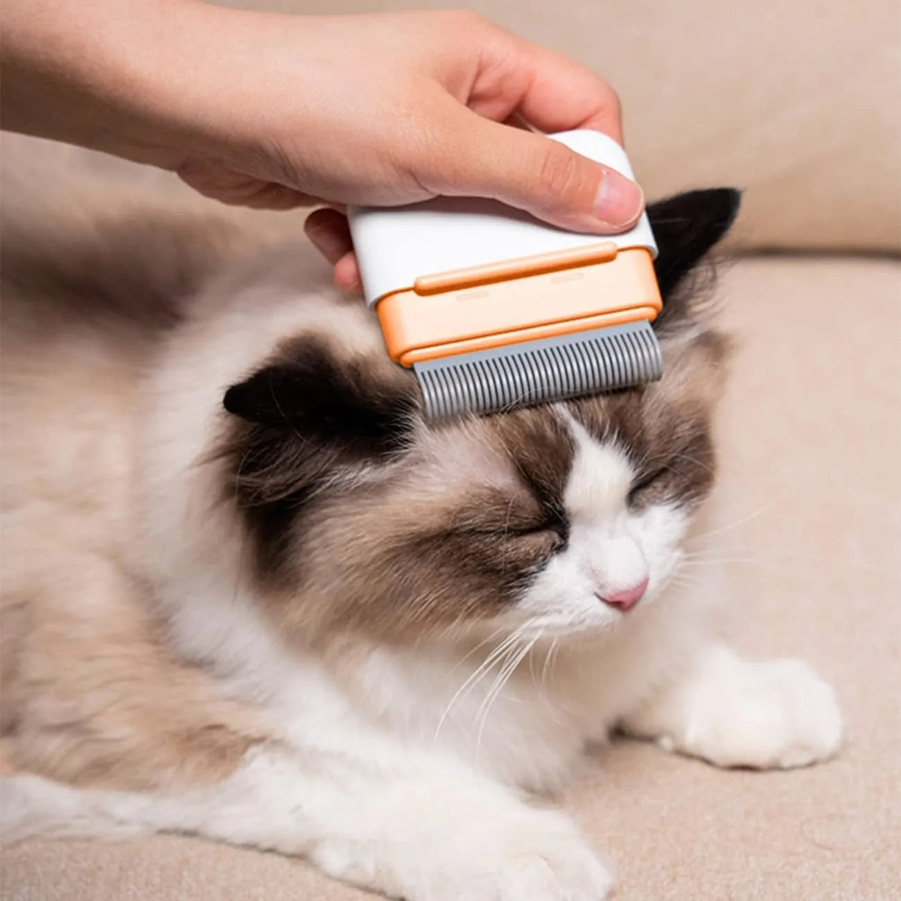 Blue dual-sided pet grooming comb for cats and dogs, showing massage and deshedding sides.