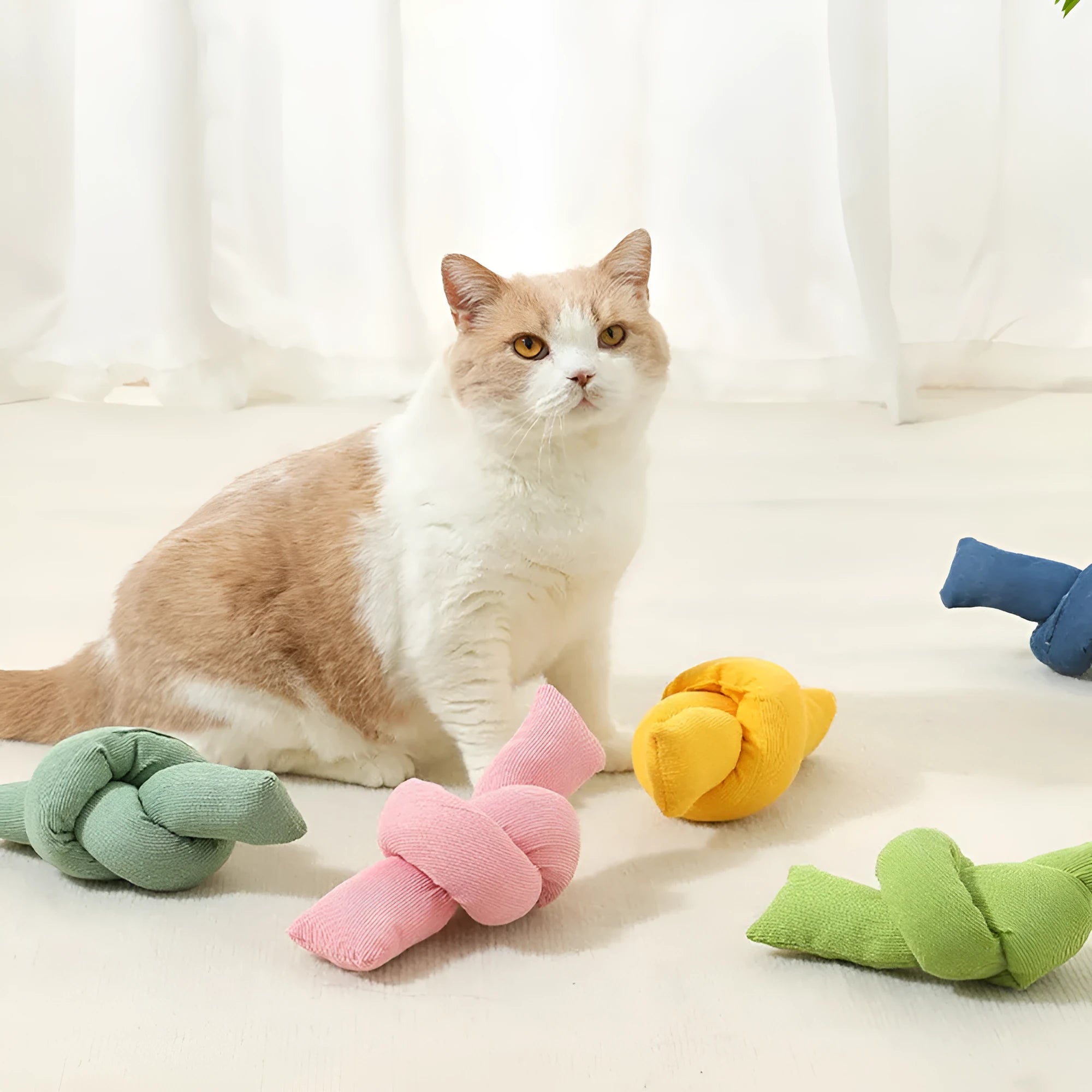 White knotted cotton rope dog toy for tugging and chewing.