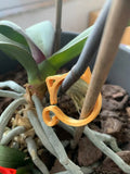Plastic cat-shaped plant clip in red, yellow, green, or white colours for garden use
