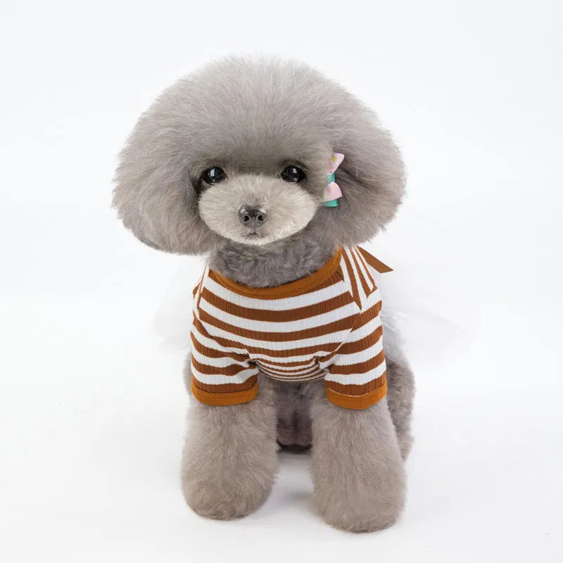 Bears Teddy cotton pet skirt for small female dogs in coffee colour
