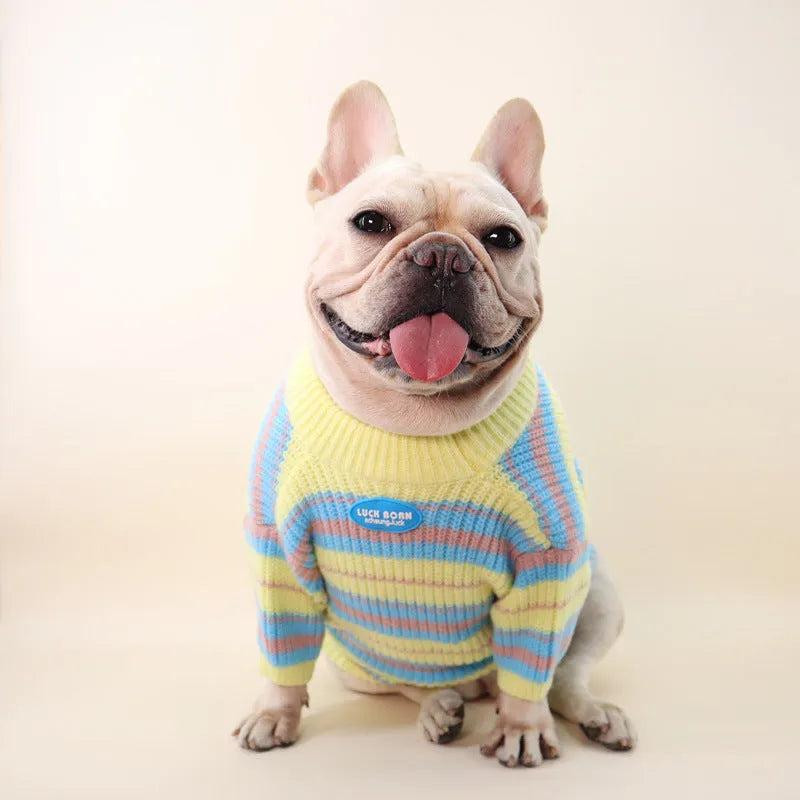 Blue and yellow striped wool sweater for a small dog, shown in size L.