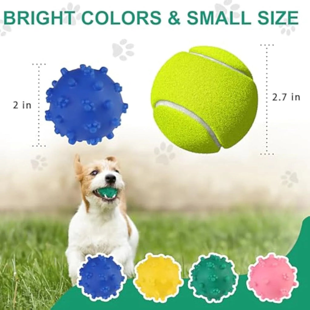 Bright blue, green, pink, and yellow spiked dog balls with paw print dimples on a white background.