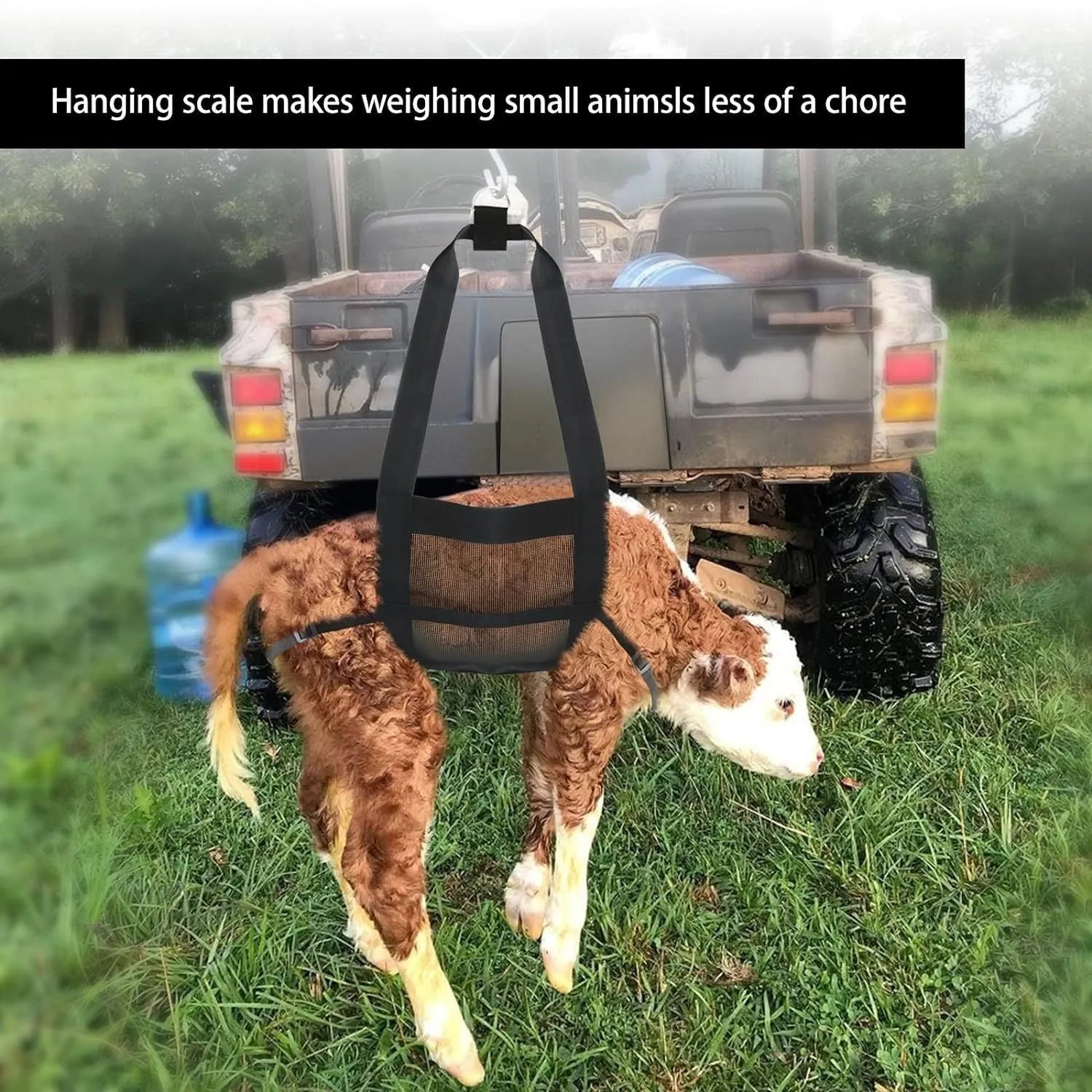 Large black calf sling for weighing and moving dogs and livestock, showing dimensions.