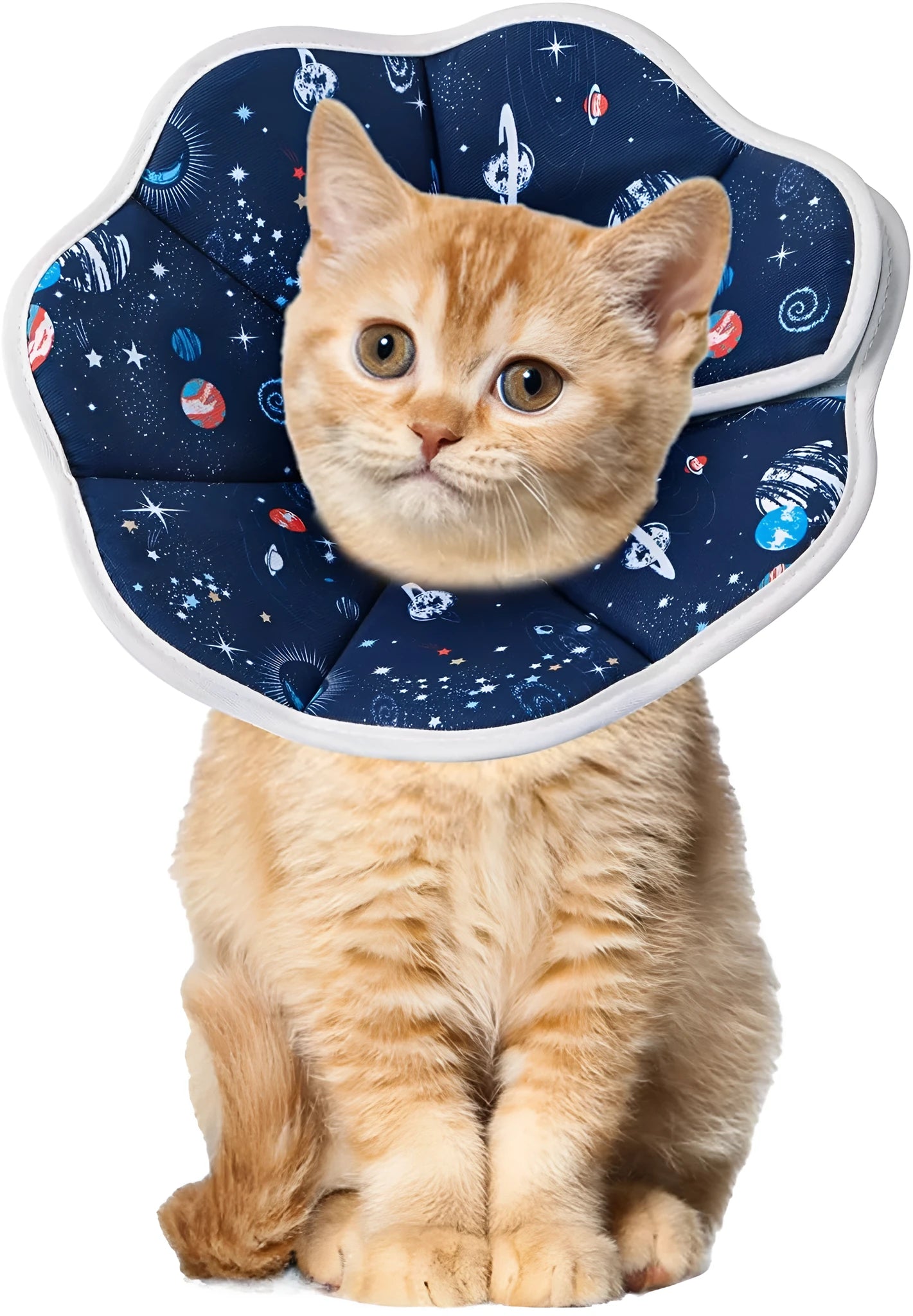Soft fabric cat recovery collar with adjustable fastener in constellation print