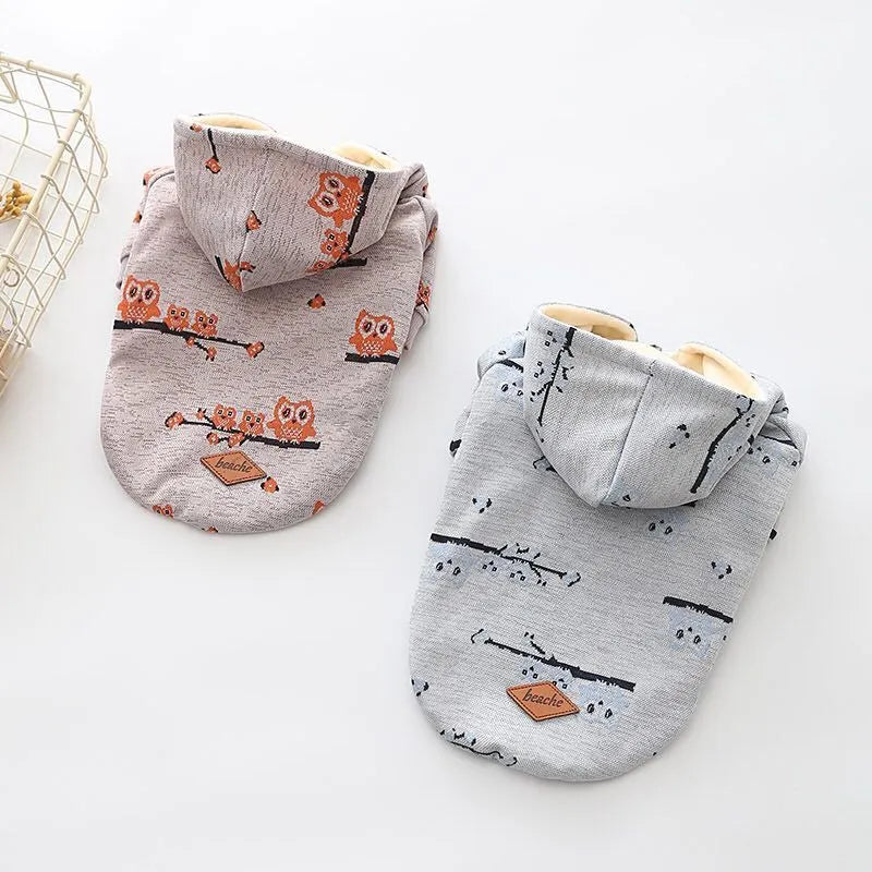 Blue cotton dog sweater with front zipper closure shown on small dog