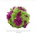 Purple plush dog ball toy with knotted seaweed texture for teething puppies