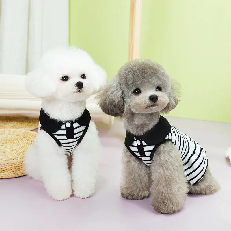 Cotton pet t-shirt and skirt set with striped summer design for small animals