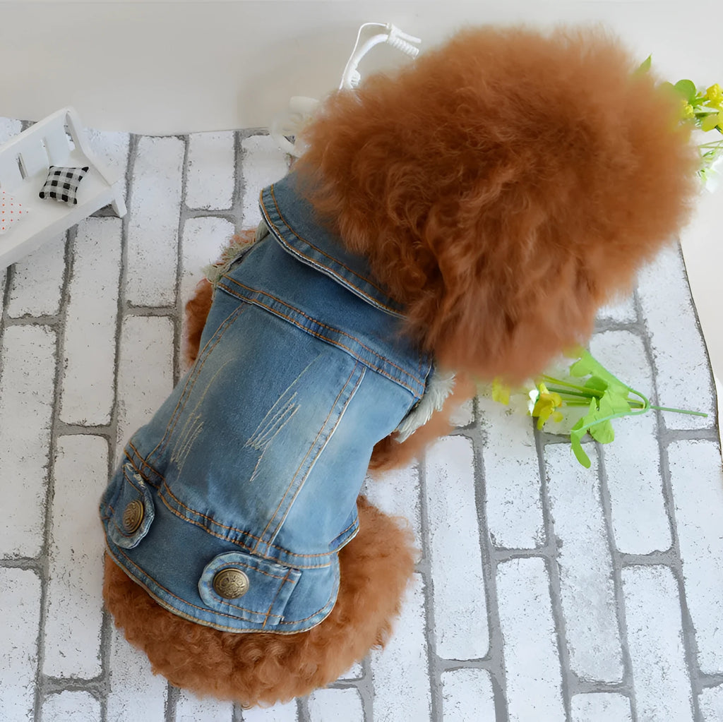 Retro scratch pattern denim dog vest for small breeds in dark blue and light blue options