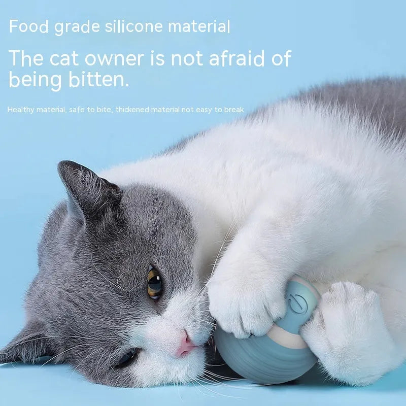 Blue rechargeable automatic moving cat toy with flashing lights on flat surface