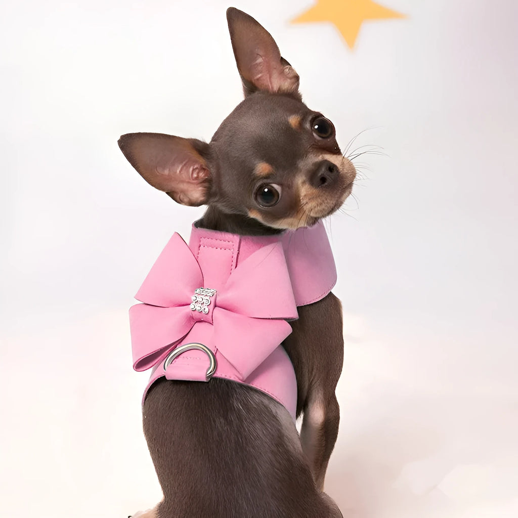 Puppy chest strap with bowknot accessory in microfiber material