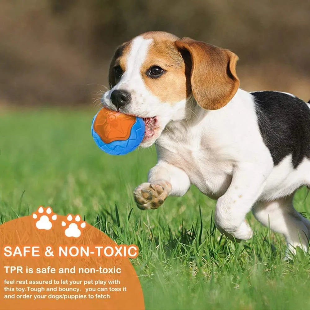 Set of three floating dog toys: blue ball, red barbell, and orange tyre with squeakers