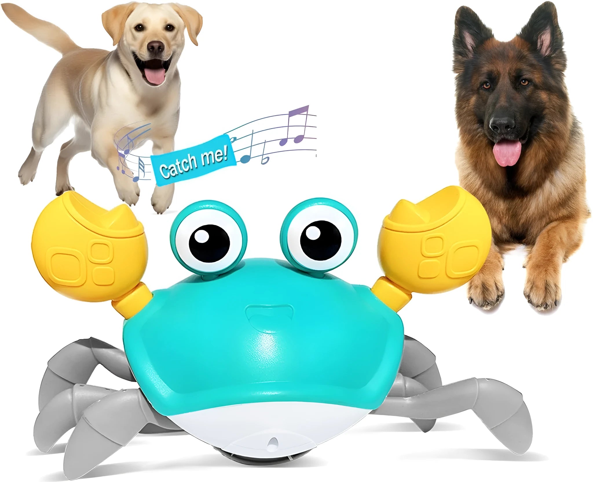 Blue or red electronic crab dog toy with lights, shown moving sideways on a floor.