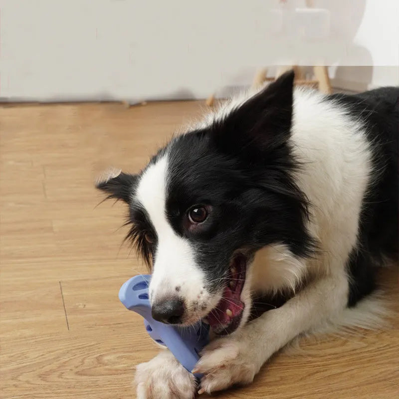 Blue boomerang-shaped dog toy with raised molar-style edges for medium and large breed chewing play