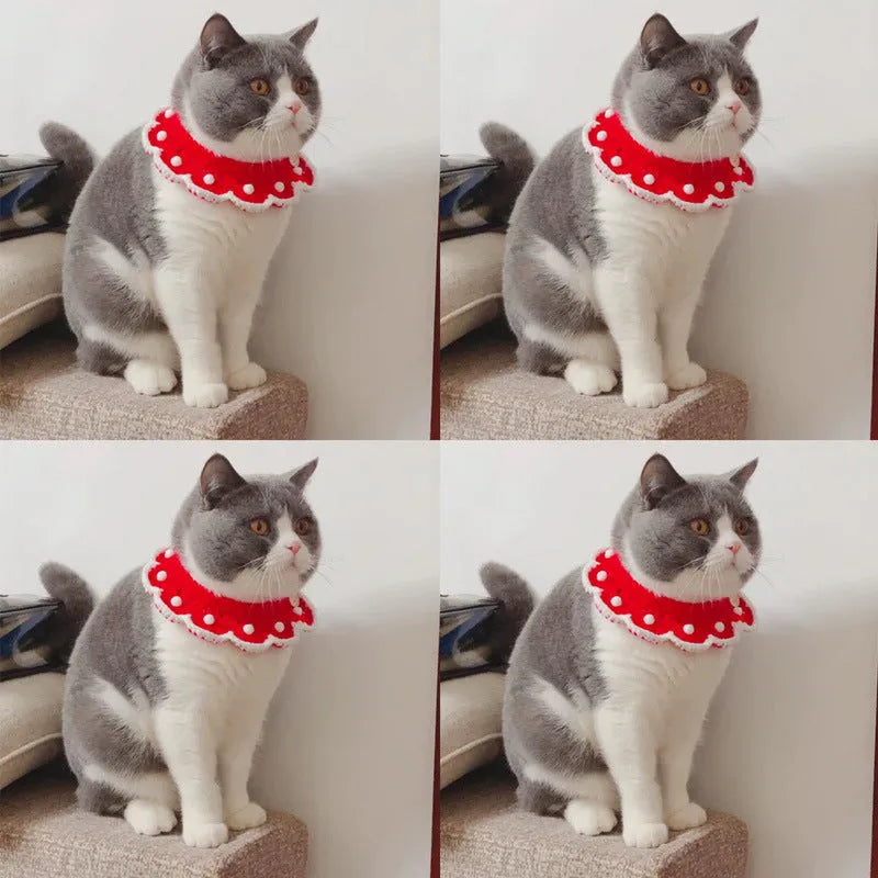 A soft milk cotton knitted pet collar with a cartoon pattern, shown in a selected colour.