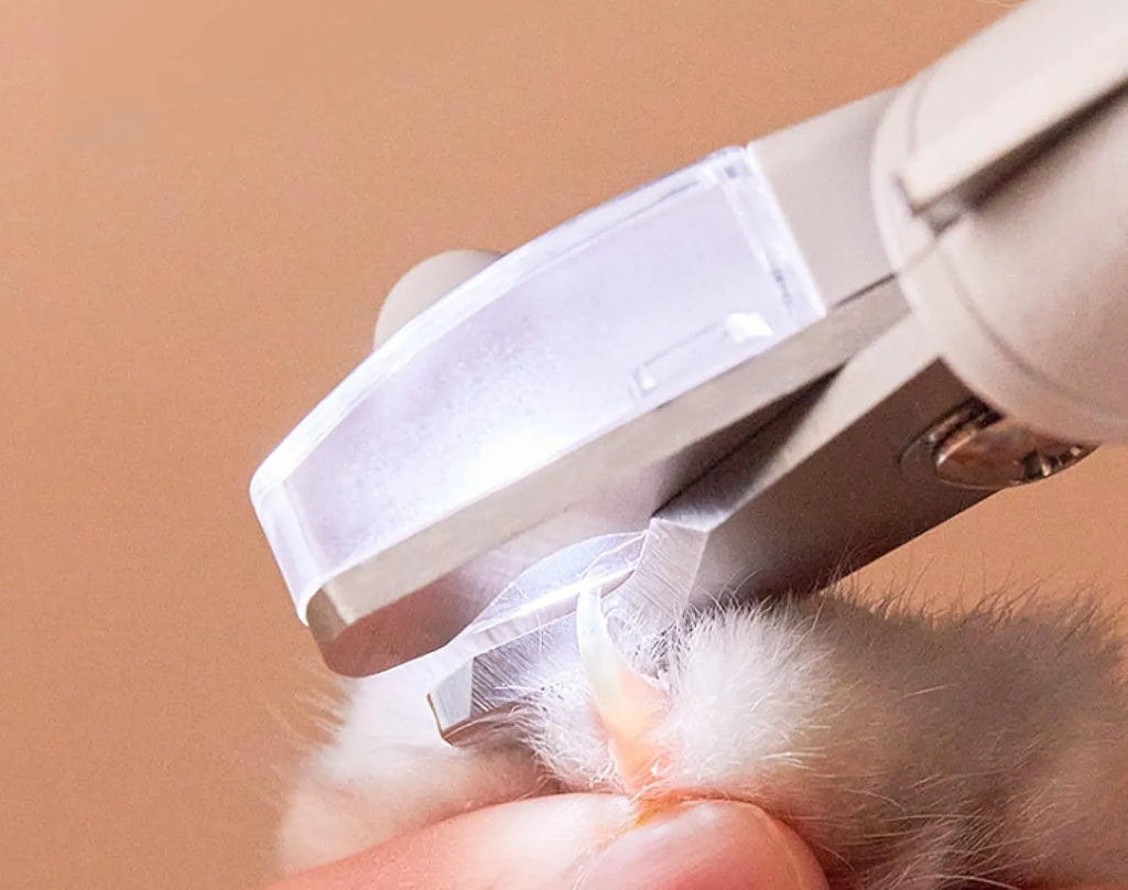 White LED pet nail clippers with transparent guard, triangular blade, and anti-slip handle next to a filing tool.